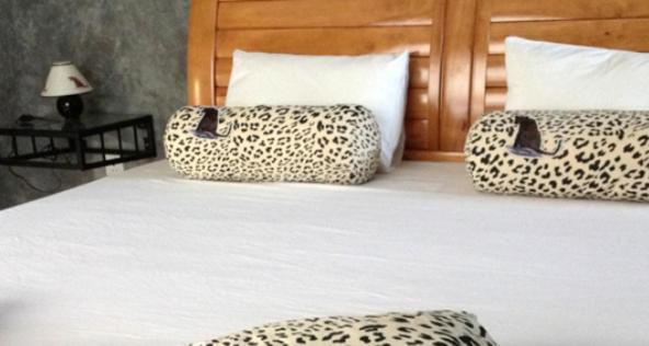 Yala Leopard Lodge Room photo